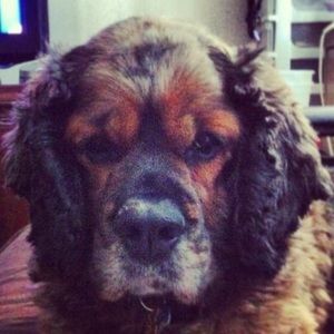 Meet your Posher, Barbara